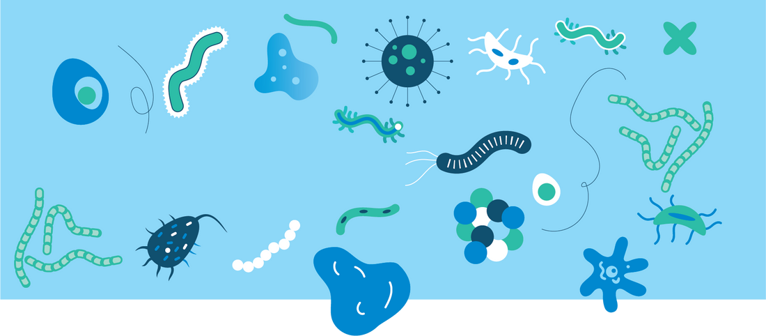 Skin microbiome secrets