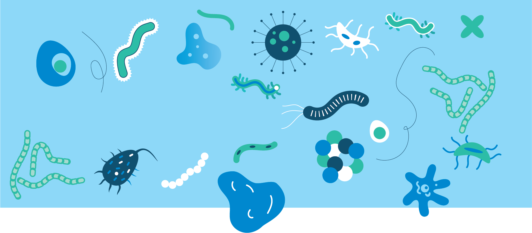 Skin microbiome secrets